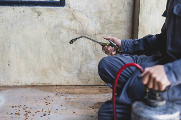 Best Best Pest Control Companies  in Crane, MO